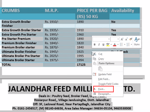 Make text show up in word document.